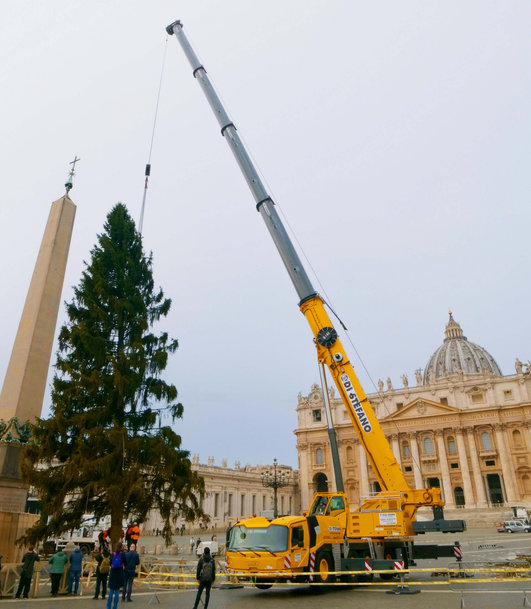 Grove GMK5250L-1 all-terrain crane installs the Vatican’s Christmas tree